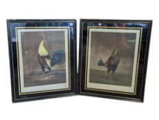 AFTER BENJAMIN MARSHALL - TWO 19TH CENTURY ENGRAVINGS OF BIRDS BY CHARLES TURNER
