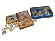 NATURAL HISTORY - COLLECTION OF GEMSTONES, FOSSILS, & MINERAL SPECIMENS