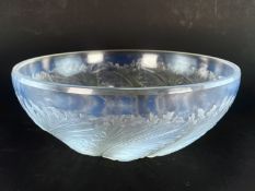 LALIQUE - OPALESCENT CHICOREE PATTERN GLASS BOWL