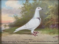 ANDREW BEER (1862-1954) - LUCK IS MINE - OIL ON CANVAS RACING PIGEON PAINTING
