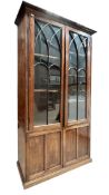 19TH CENTURY ASTRAGAL MAHOGANY GLAZED LIBRARY BOOKCASE CABINET