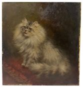 AGNES AUGUSTA TALBOYS (1863-1941) - OTTO - LATE 19TH CENTURY OIL ON BOARD CAT PAINTING
