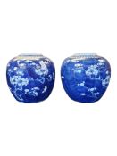 PAIR OF 19TH CENTURY CHINESE PRUNUS PORCELAIN GINGER JARS