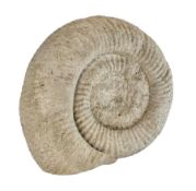 A LARGE FOSSIL AMMONITE SPECIMEN