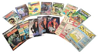 COMICS - COLLECTION OF VINTAGE COMICS & GRAPHIC NOVELS