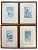 AFTER J. C. HARRISON - FOUR 20TH CENTURY SIGNED PRINTS OF BIRDS