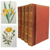HULME, F. EDWARD - 8VOLS IN 4 FAMILIAR WILD FLOWERS FIRST-EIGHTH SERIES