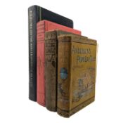 A SELECTION OF BEAUTIFUL ILLUSTRATED BOOKS - ARTISTS TO INCLUDE ARTHUR RACKHAM, F.D. BEDFORD ETC