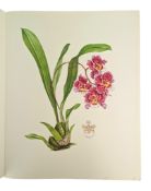 HUNT, P. FRANCIS - 1973 ORCHIDACEAE, SIGNED LIMITED EDITION, COLOUR PLATES, SCARCE UNBOUND COPY