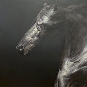 HUW WILLIAMS (SCOTTISH, B. 1968) - ANDALUSIAN STALLION - OIL ON CANVAS