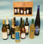 'Bleu' Muscadet Sèvre et Maine, 12%, 1500ml, one bottle and various other bottles of red and white