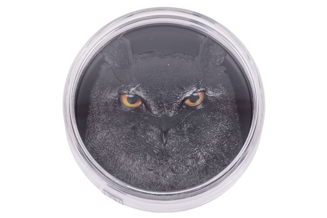Republik Palau /SILBER – 500 g Feinsilber, 25 $ „Eagle Owl“ 2023 - Bild 1 aus 3