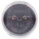 Republik Palau /SILBER – 500 g Feinsilber, 25 $ „Eagle Owl“ 2023 - Bild 1 aus 3