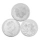 SILBER Investment Lot - 110 x 1 Unze - Bild 3 aus 3