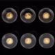 Solomon Islands /GOLD – 35 Jahre Britannia, 35 × 10 $ 2022 à 1/100 Unze - Bild 2 aus 7
