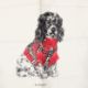 Burberry - Pocket Square - Bild 2 aus 2