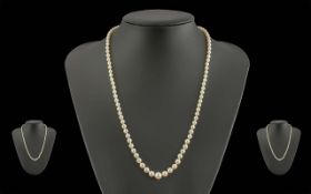 Pearl Necklace with 9ct Gold Clasp. Full