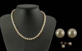 Ladies Single Strand Pearl Necklace with