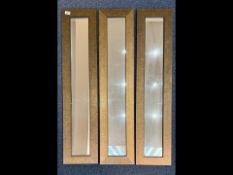 Set of Three Modern Tall Slim Mirrors, w