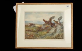 Archibald Thorburn, a fine original impression of large size, depicting grouse in flighton a moor,