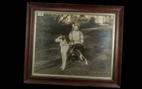 Greyhound Dog Champion, a rare and uniqu