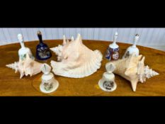Three Graduated Conch Shells, together with six porcelain bells.