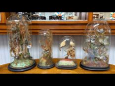 Ornithologist Interest - Four Victorian