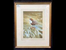 Adrian Rigby 'The Dipper' Watercolour, mounted, framed and glazed, image measures 11.5'' x 8''.