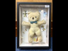 Teddy Bear Interest - Box Framed 1960's