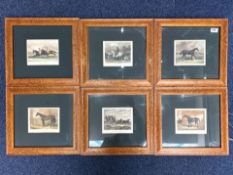 Collection of Horse Related Lithographs, six in total, all mounted, framed and glazed, and measure