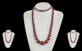 Early 20th Century Ladies Cherry Amber Graduated Beaded Necklace of Excellent Colour and Quality.