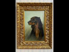 Arthur Wardle, R.I. (British, 1864-1949) Oil on Canvas Portrait Study of a Gordon Setter, signed