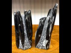 Two Orthoceres Fossil Statues carved from black marble, from Morocco. Tallest 9.5''.