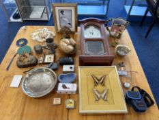 Box of Collectibles, to include two framed South African Butterflies, vintage Majolica Nouveau