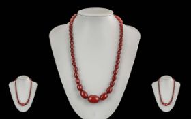 A Fine Quality Early 20th Century Ladies Cherry Amber Graduated Bead Necklace, Wonderful Colour.