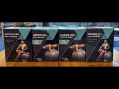 Four New Gruper Exercise Balls, boxed wi