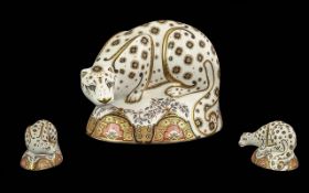 Royal Crown Derby Hand Painted Large Figural Paperweight ' Snow Leopard ' Date 2007, Gold Stopper. 5