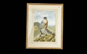 Adrian Rigby 'Peregrine Portrait' Waterc