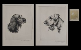 A Folio of Fine Quality Etchings of Dogs (3 in Total), original etchings - a Rembrandt Guild