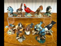 Twelve Hand Painted Italian Miniature Bird Figures, assorted birds to include Robin, Blue Tits,