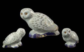 Royal Crown Derby Collectors Guild Hand Painted Figural Paperweight ' Snowy Owl ' Gold Stopper. Date