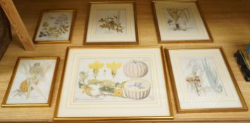 Ferdinand Bernhard Vietz (Austrian, 1772-1815), six early 19th century botanical engravings