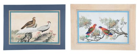 Chinese School (Guangzhou (Canton), Mid 19th century)Pheasants; Exotic birdstwo watercolours on pith