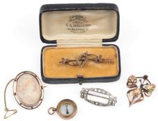 A collection of jewels, late 19th and early 20th century, comprising: a conch shell cameo brooch