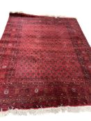 A Bokhara red ground carpet, 260 x 200cm