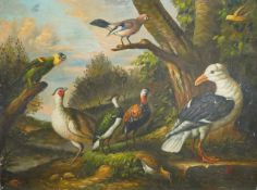 Manner of Edgar Hunt (1876-1953), birds of paradise, oil on board, unframed, 30 x 40cm