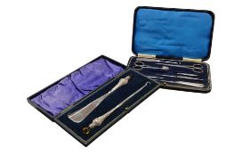 A cased Edwardian silver handled button hook and shoe horn, with amethyst paste and citrine paste