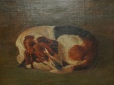 Victorian School, study of a a sleeping dog, oil on canvas, laid on board, 18.5 x 24cm