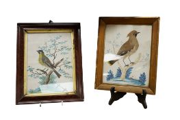 Two 19th century French watercolour and feather collage pictures of birds, each framed, largest