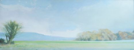 Michael Cooper NEAC (1943-2025), Landscape study, initialled, oil on canvas, 35 x 90cm